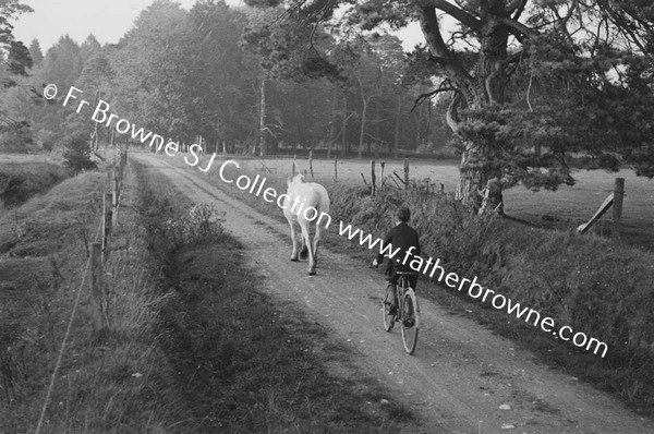 BOY FOLLOWING HORSE ON BICYCLE